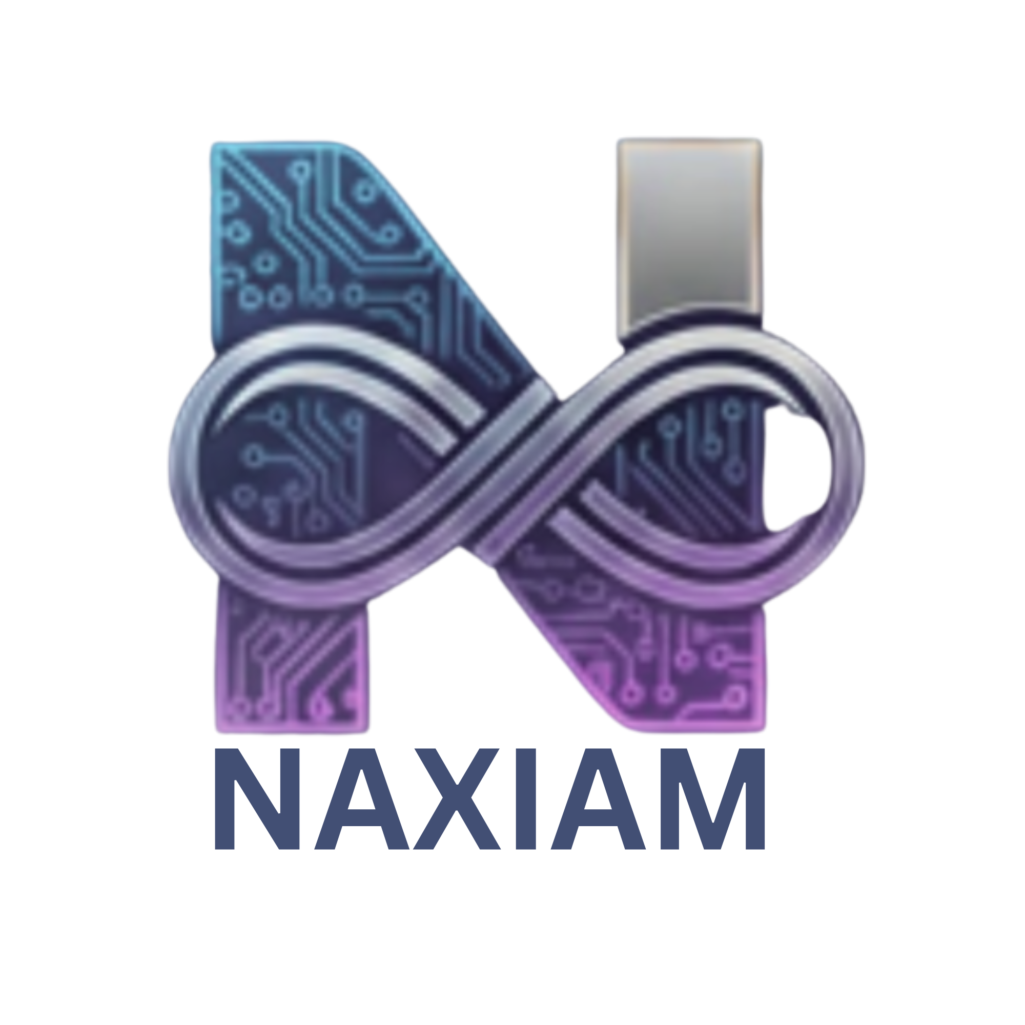 naxiam.com